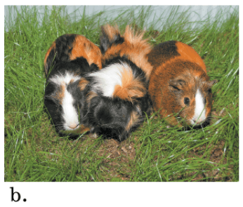 Задание рисунок 2