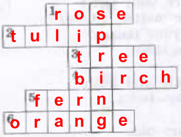 Решение рисунок 1